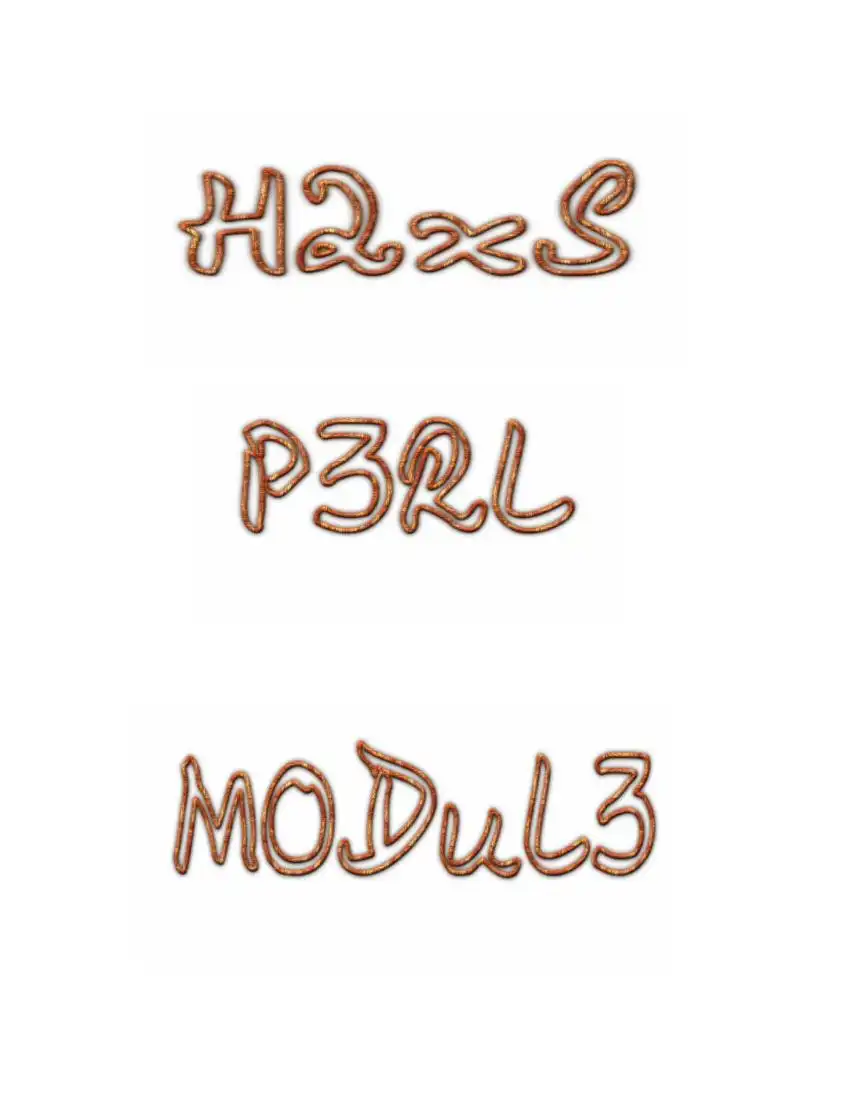 كتاب فى دالة h2xs و مصحح الأخطاء في بيرل Perl