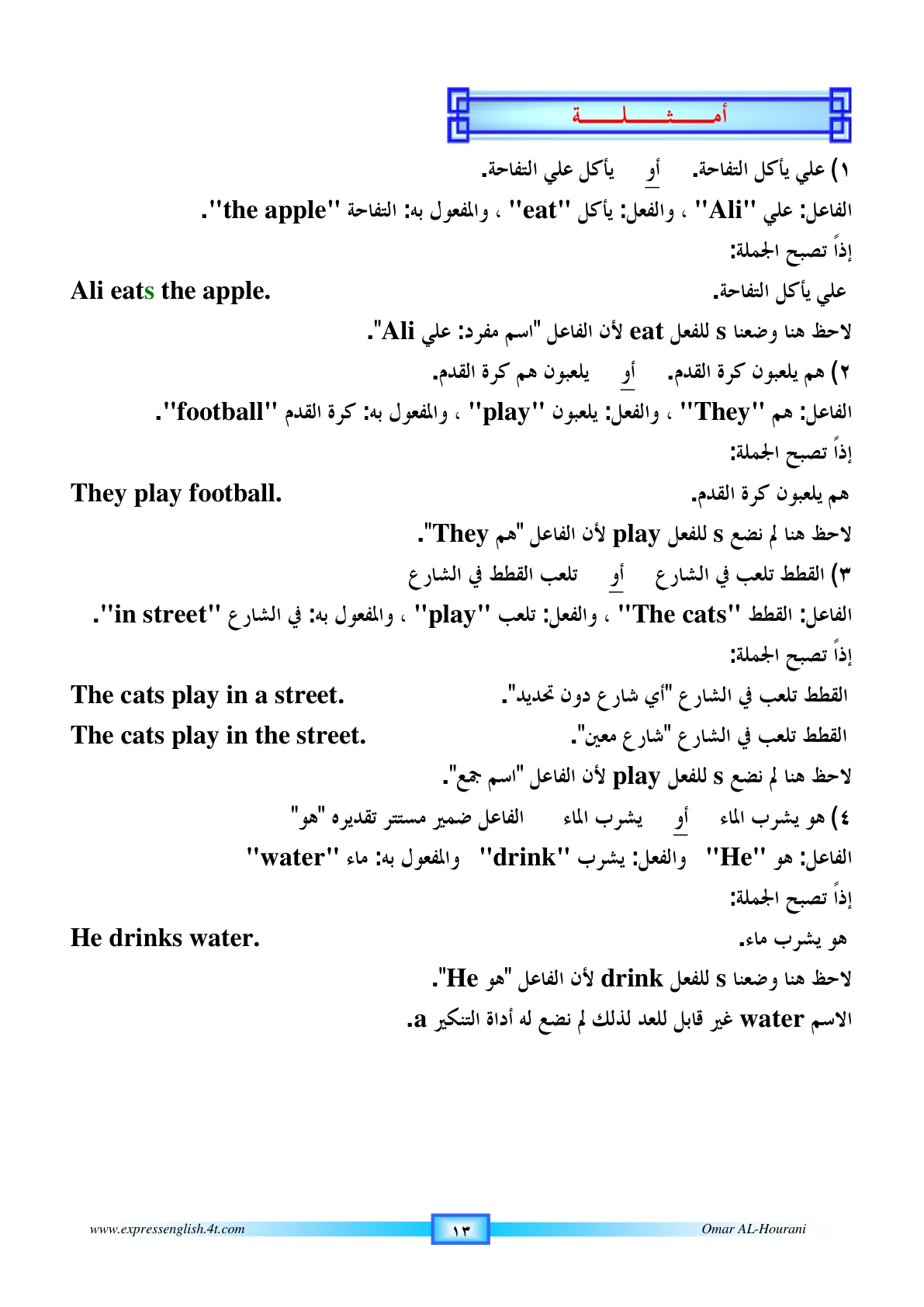صفحة 13