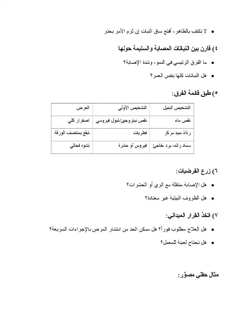 صفحة 13