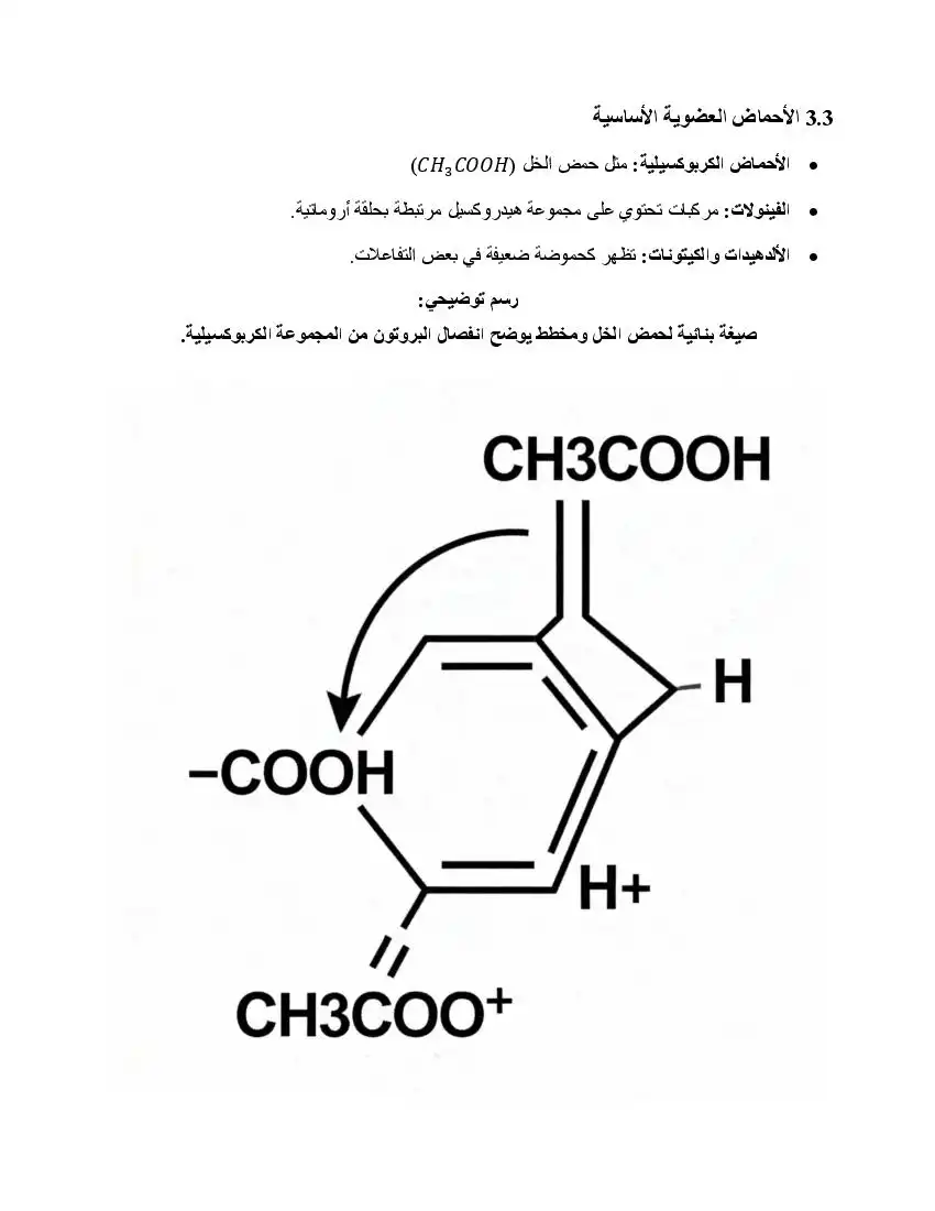 صفحة 19