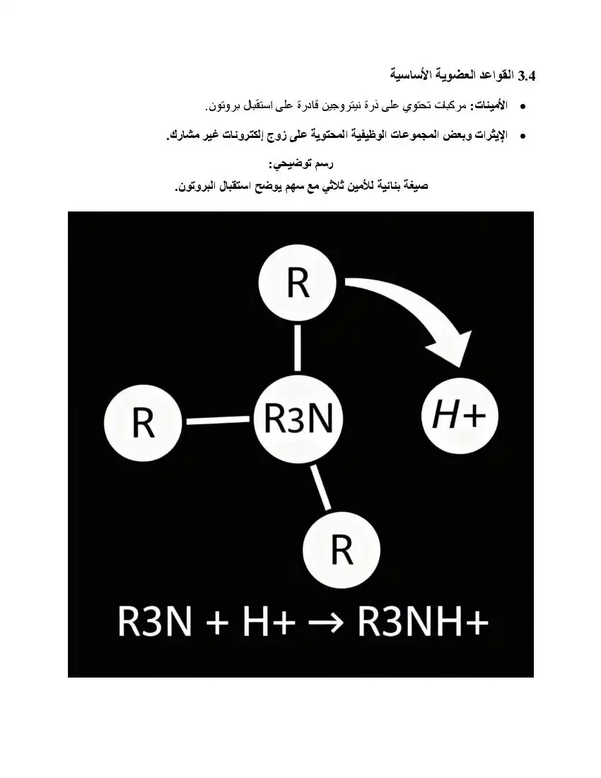 صفحة 20