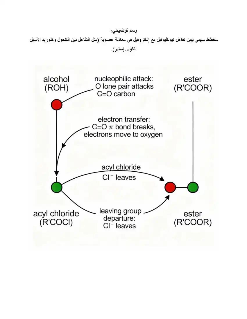 صفحة 23