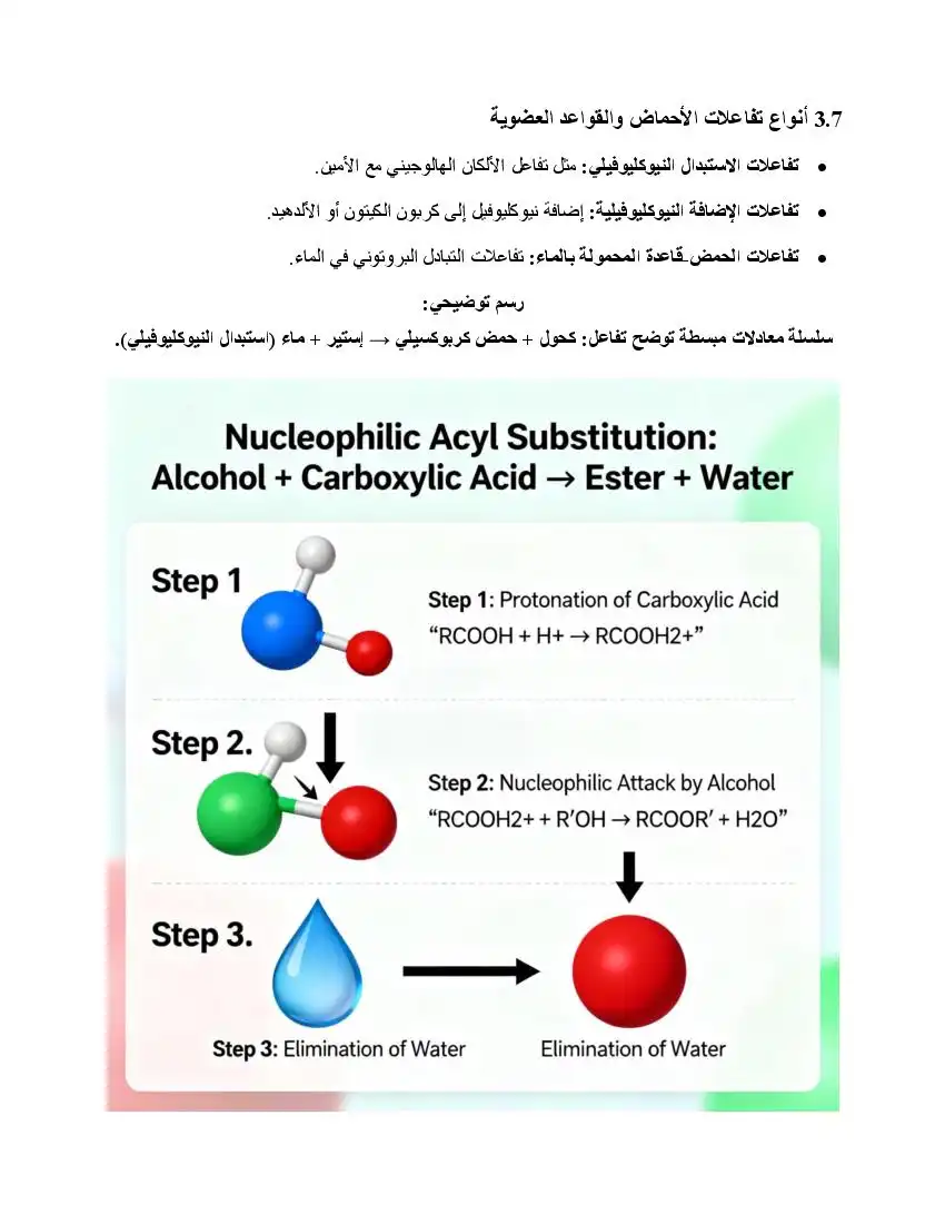 صفحة 24