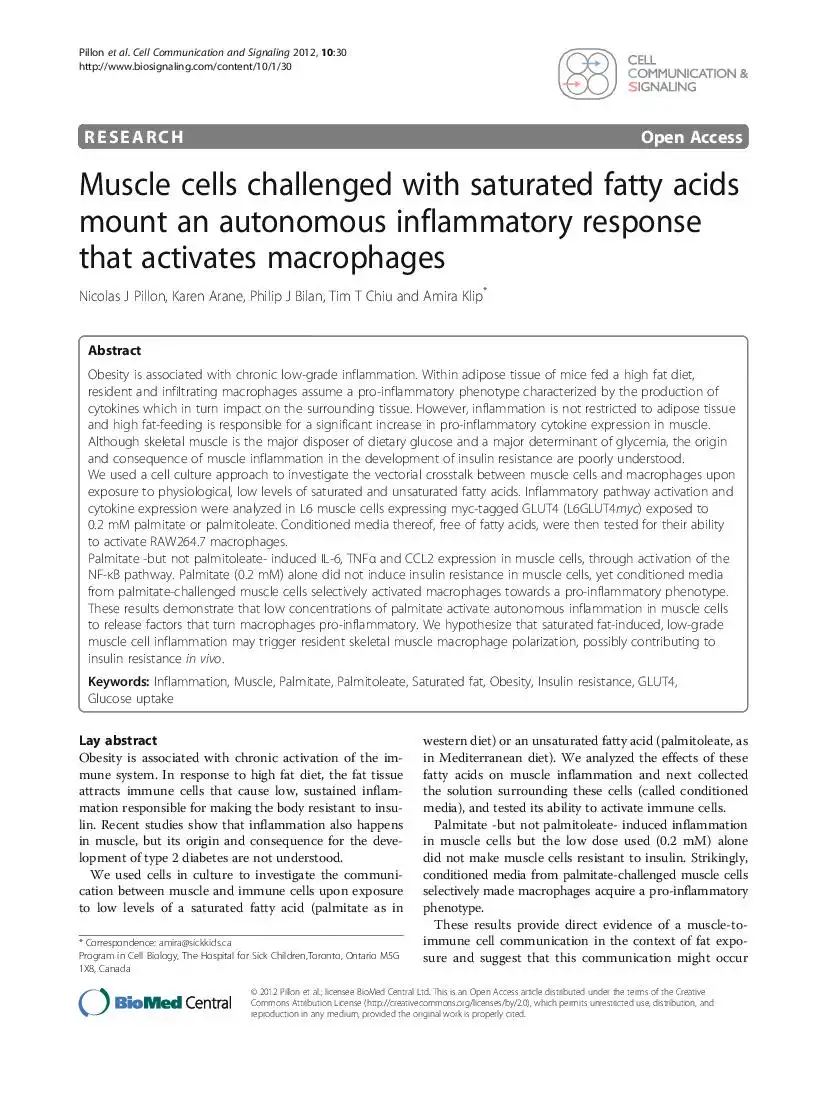 Muscle cells challenged with saturated fatty acids mount an autonomous inflammatory response that activates macrophages
