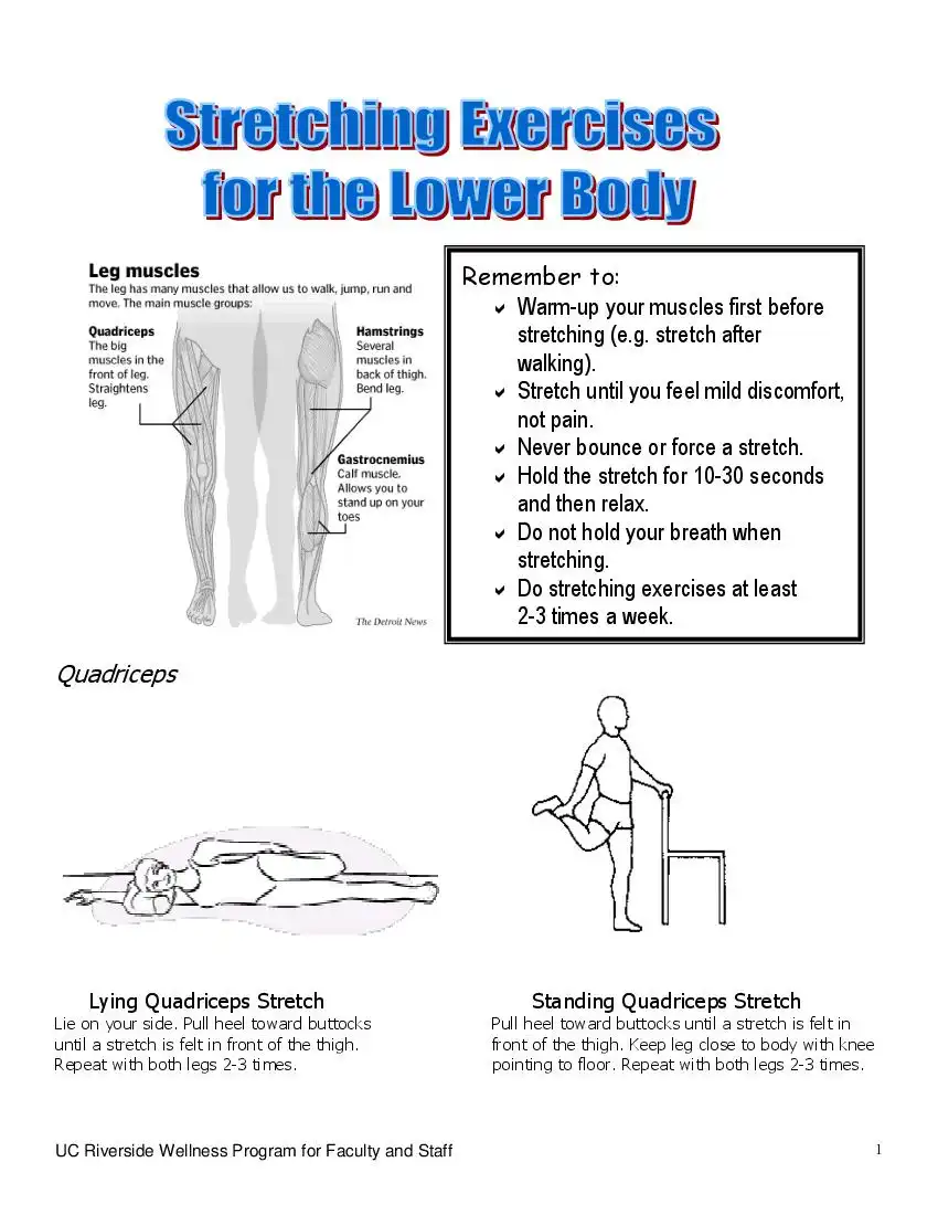 Stretches Exersises for The Lower Body